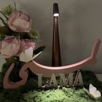 أسماء 3 d مقاس ٤٠ سم