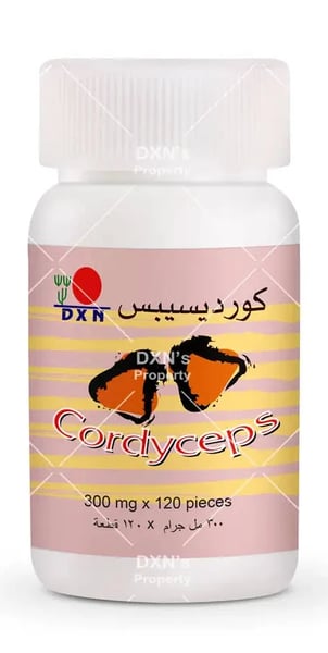  كورديسيبس DXN – فطر الطاقة الطبيعي للتحمل والمناعة وصحة التنفس