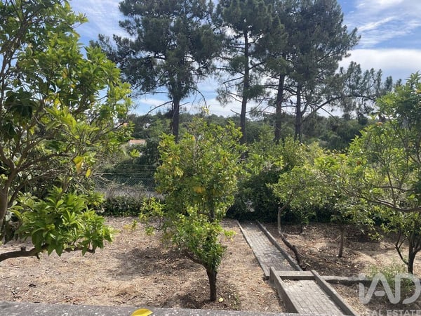 House in Castelo - view 1