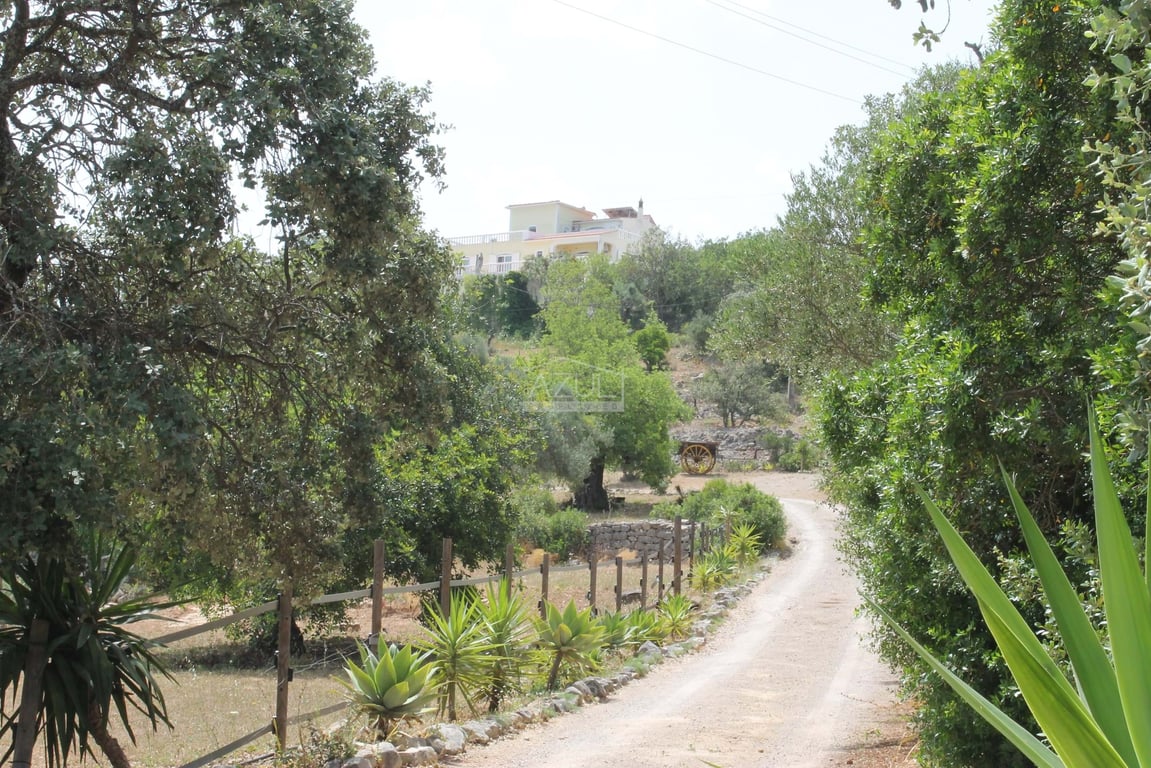 Villa in Loule - Image 3