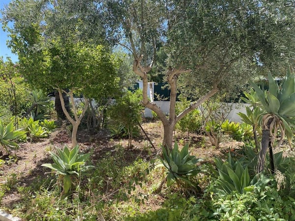 Villa in Alvor - view 1