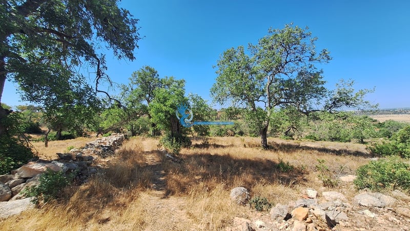 Land in Assumadas de Algoz - view 1