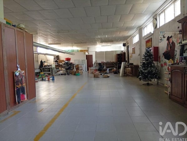 Land in Ucha - view 1