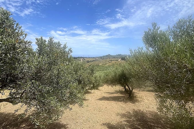 Land in Collesano - view 1