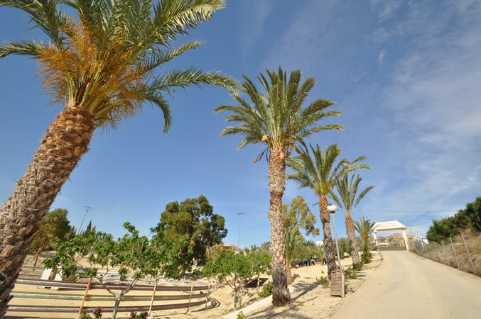 House in Cabanillas - view 1