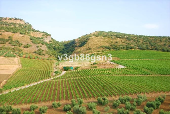 House in Ronda - view 1