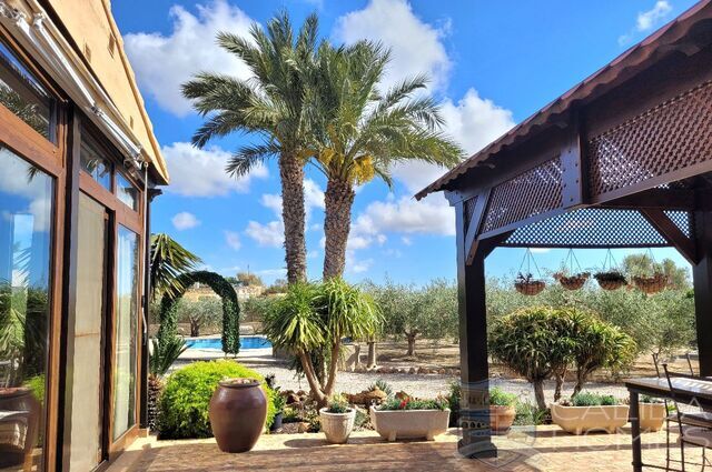 House in Mojacar Playa - Image 3