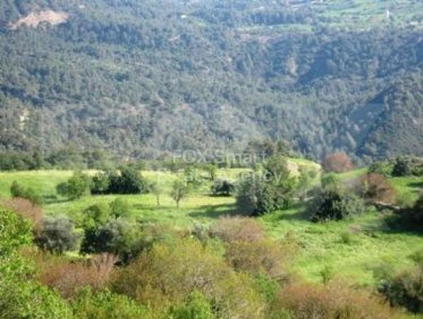 Land in Paphos - view 1