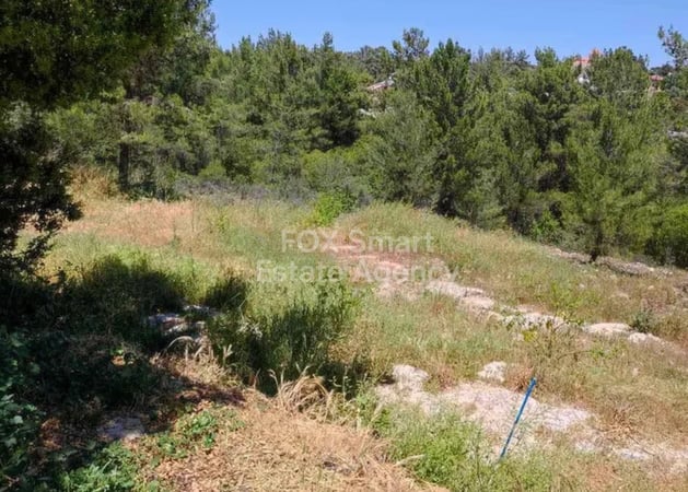 Land in Souni - view 1