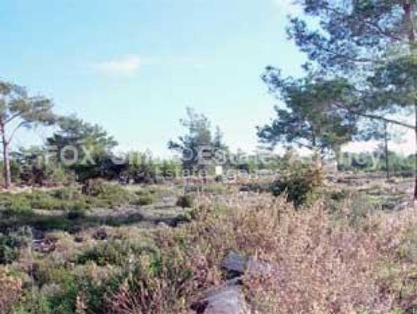 Land in Souni - view 1
