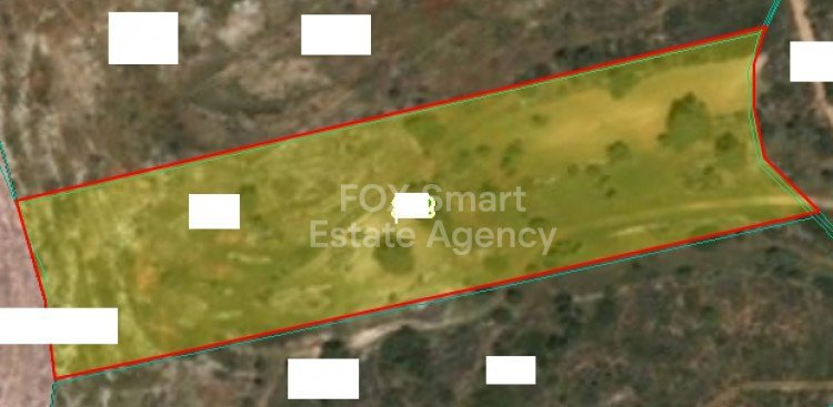 Land in Souni - view 1