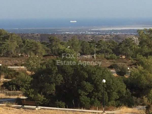 Land in Souni - view 1