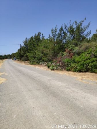 Land in Souni - view 1