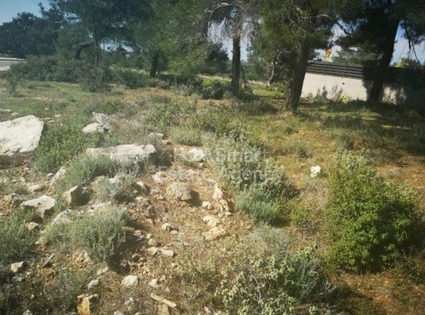 Land in Souni - view 1