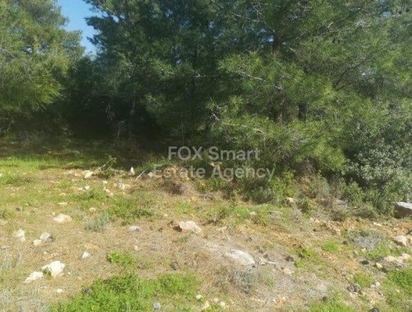 Land in Souni - view 1