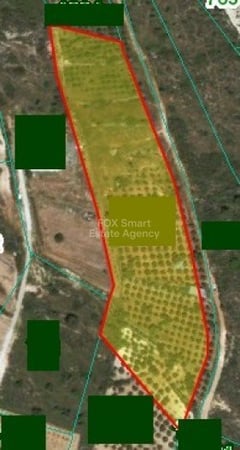 Land in Souni - view 1