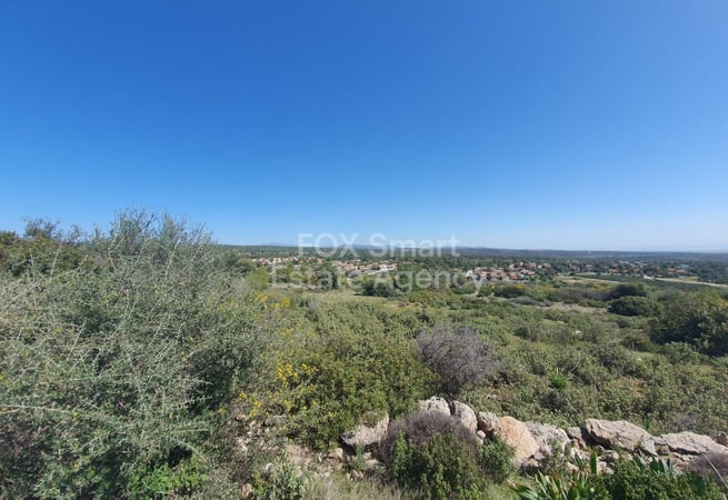 Land in Souni - view 1