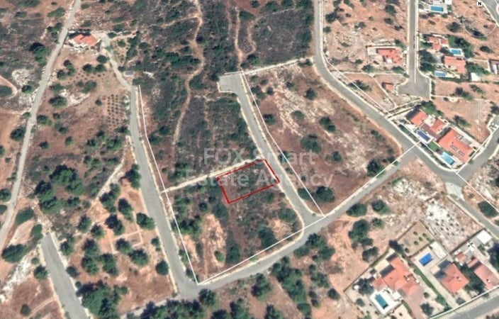 Land in Souni - view 1