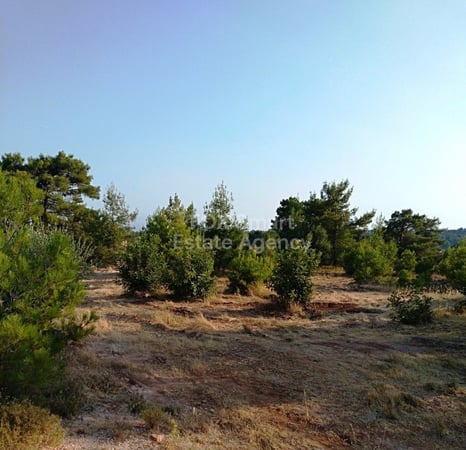 Land in Souni - view 1