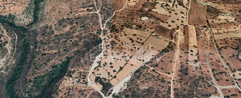 Land in Souni - view 1