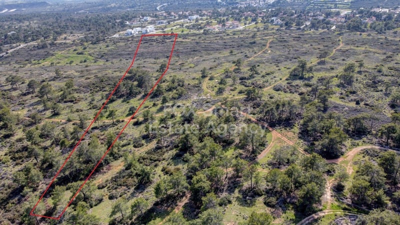 Land in Souni - view 1