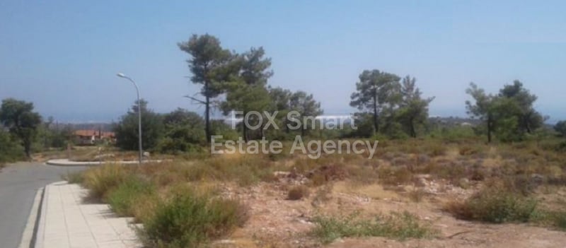 Land in Souni - view 1