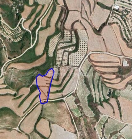 Land in Paphos - view 1