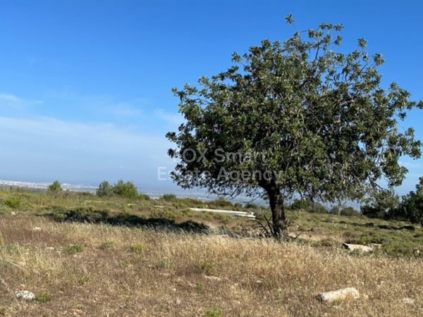 Land in Souni - view 1