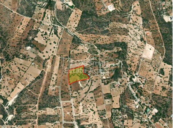 Land in Souni - view 1