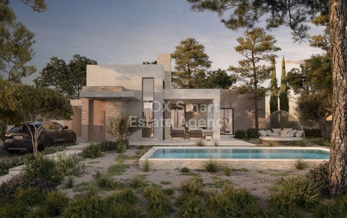 House in Souni - view 1