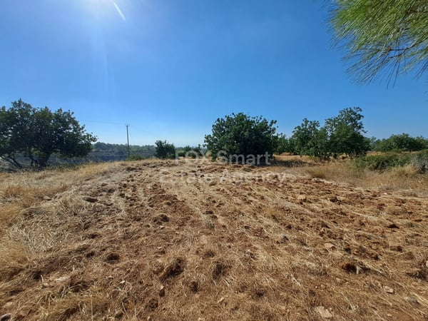 Land in Souni - view 1