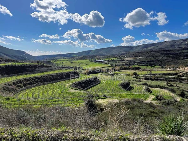 Land in Limassol - view 1