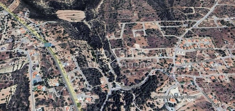 Land in Souni - view 1