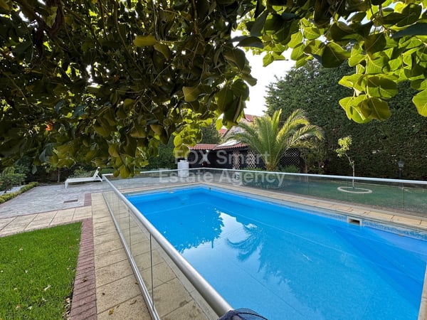 House in Souni - view 1