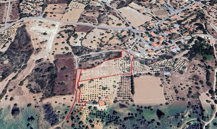 Land in Souni - view 1