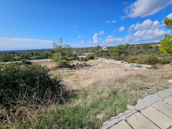 Land in Souni - view 1