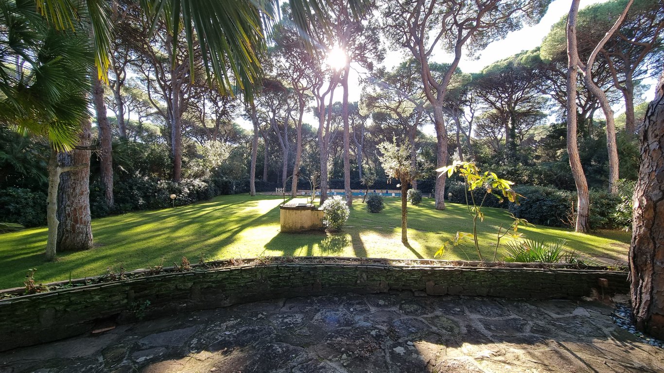 House in Grosseto - Image 2