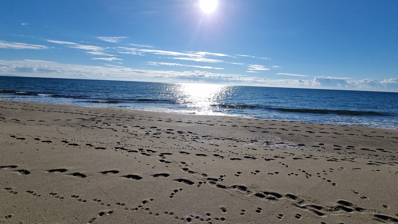 House in Grosseto - Image 4