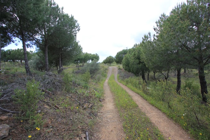 House in Azinhal - view 1