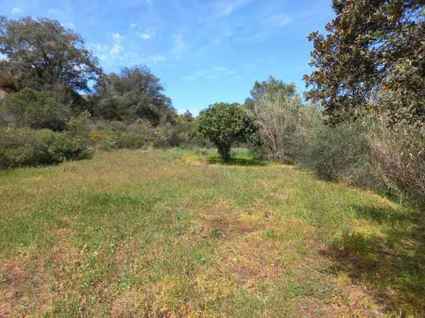 Land in Castro Marim - view 1