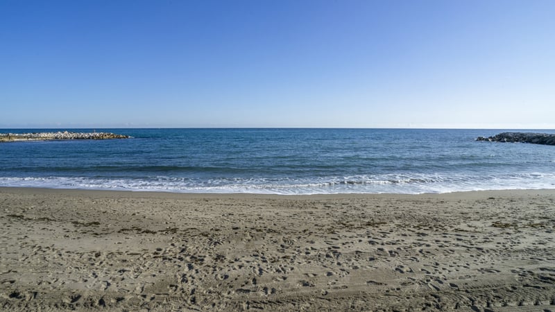 House in Nueva Andalucia - view 1