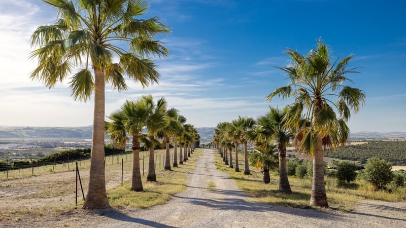 House in Arcos de la Frontera - view 1