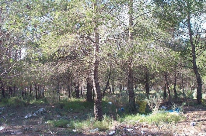 House in La Nucia - view 1