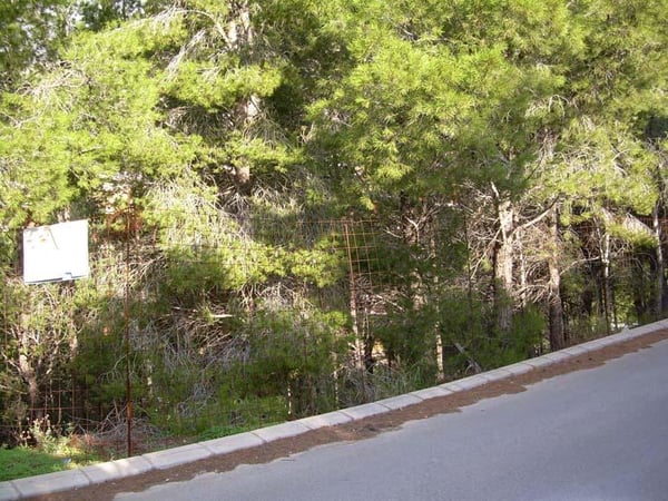 House in Pinos - view 1