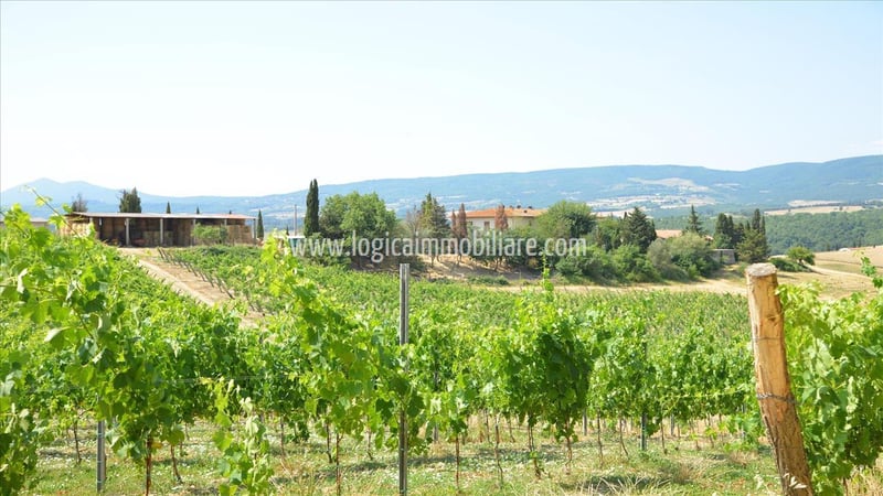 Farm, Ranch or Equestrian in Chianciano Terme - view 1
