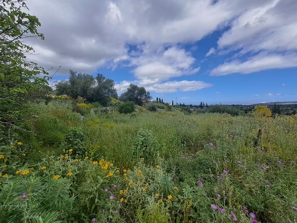 House in Sellia - view 1