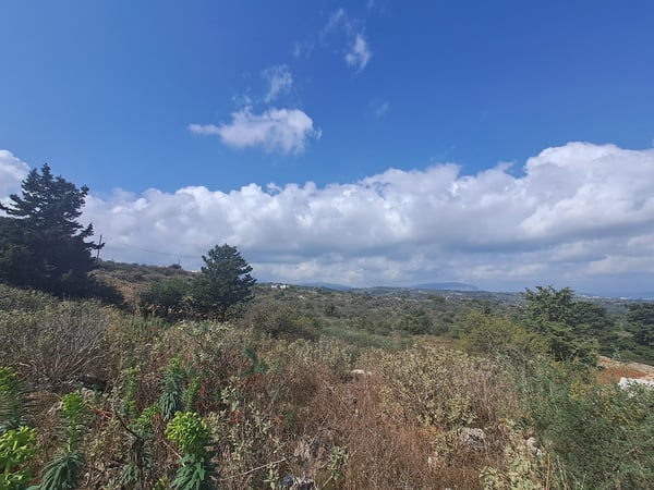 House in Vamos - view 1