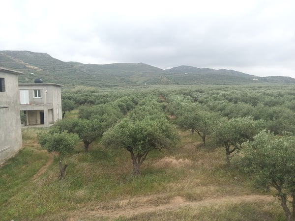 House in Trachilos - view 1