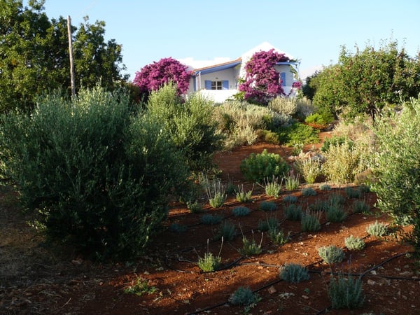 House in Vamos - view 1