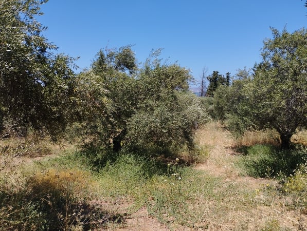 House in Kalyves - view 1